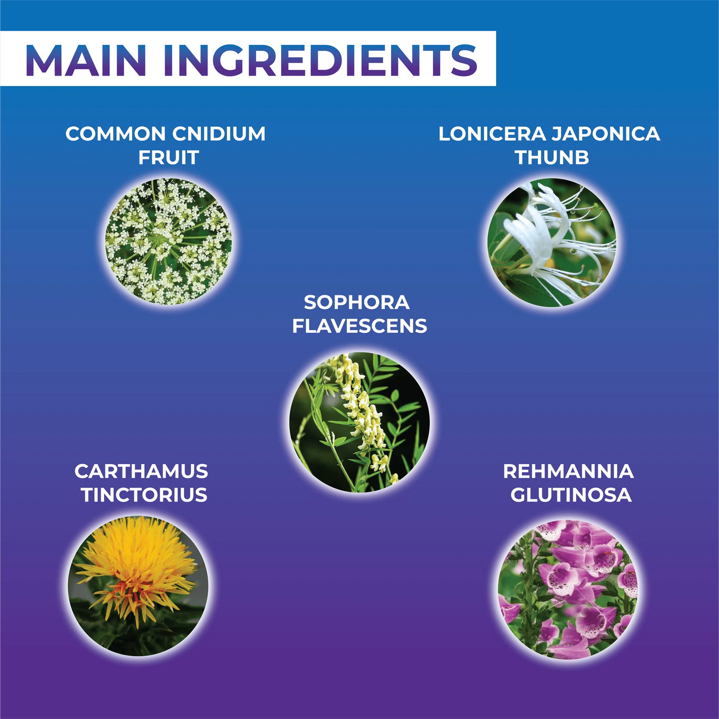 Stylo pour enlever les étiquettes de peau et les verrues